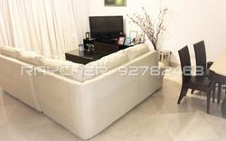 East Bay Gardens (D15), Apartment #98795612